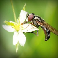 /album/namakaw2/photolia-a02-jpg/
