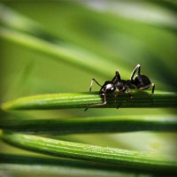 /album/namakaw2/photolia-a05-jpg/