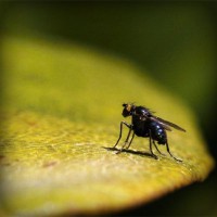 /album/namakaw2/photolia-a07-jpg/